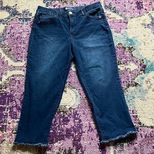 Democracy Dark Blue Ankle Jeans